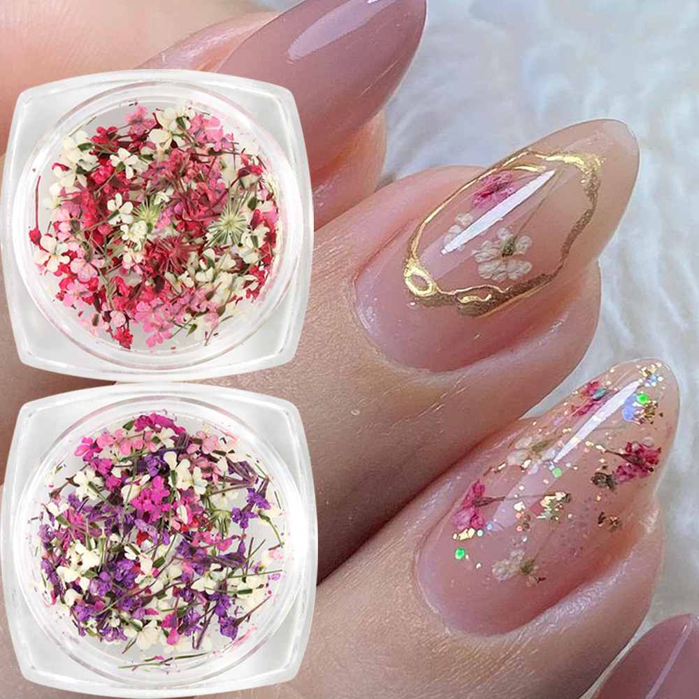 Mixed Colors Gypsophila False  - Dried Flower Bulk 리뷰 및 가격