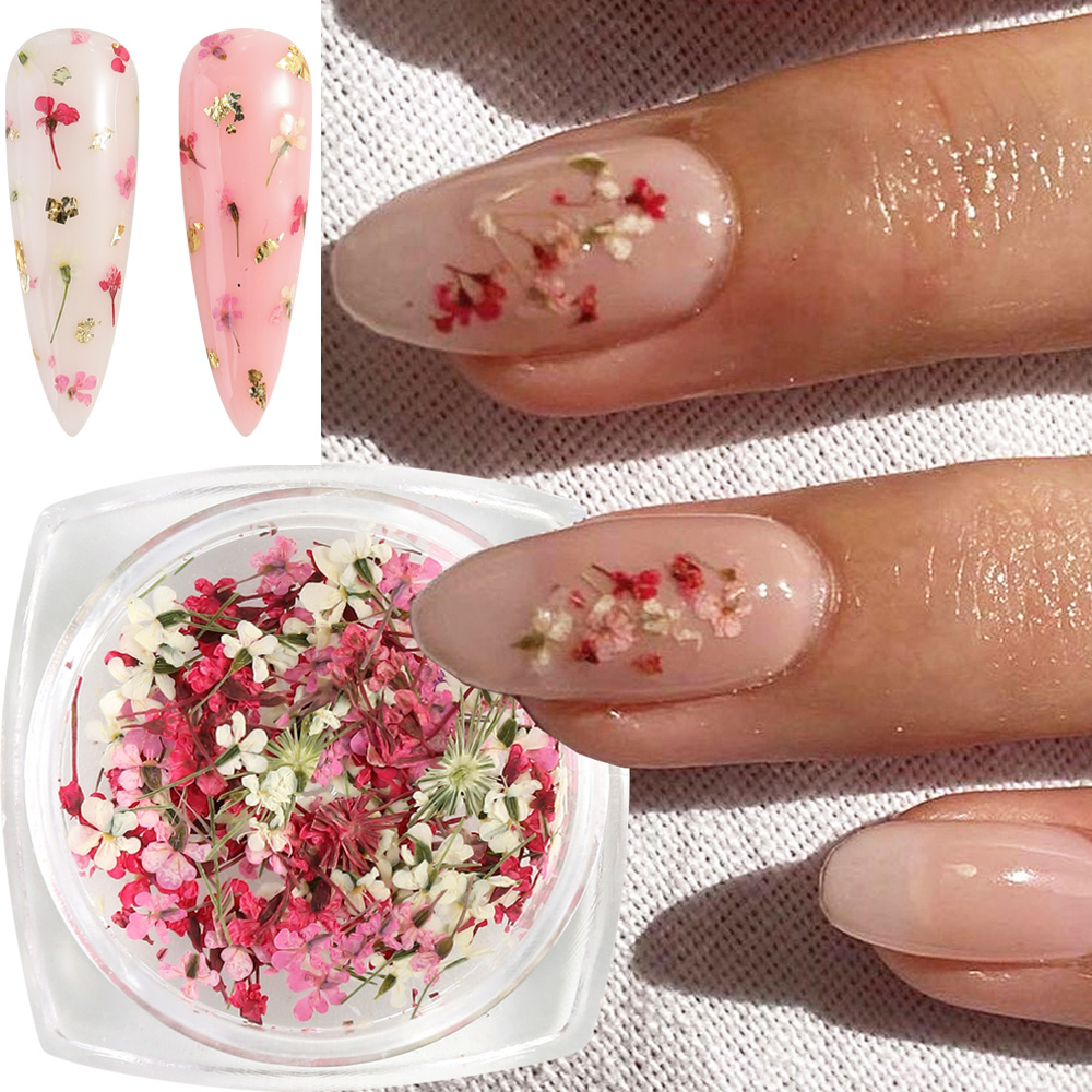 Mixed Colors Gypsophila False  - Dried Flower Bulk 리뷰 및 가격