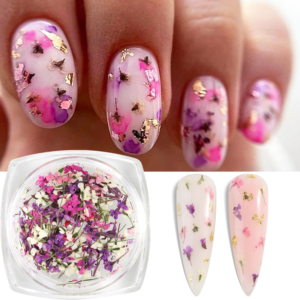 Mixed Colors Gypsophila False  - Dried Flower Bulk 리뷰 및 가격