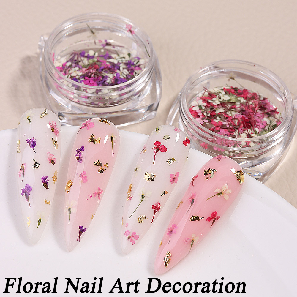 Mixed Colors Gypsophila False  - Dried Flower Bulk 리뷰 및 가격