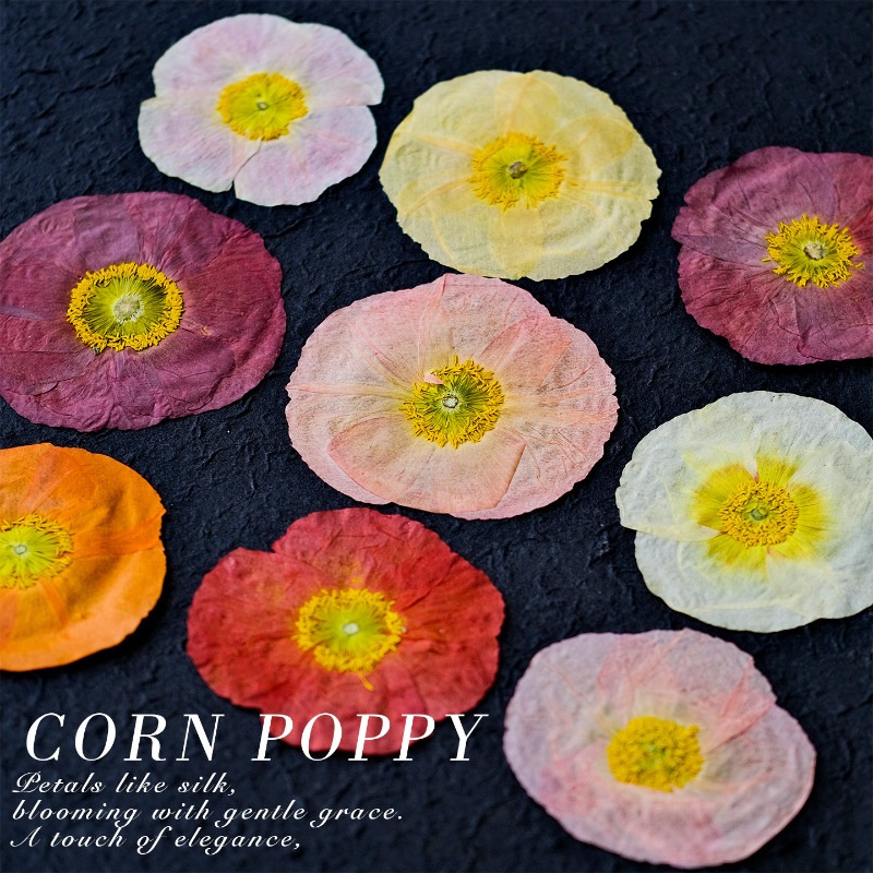 1pcs,Nature Field Poppy Presse - Resin Craft Ideas 리뷰 및 가격