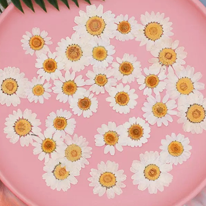 100Pcs Natural White Crystal C - Resin Craft Ideas 리뷰 및 가격