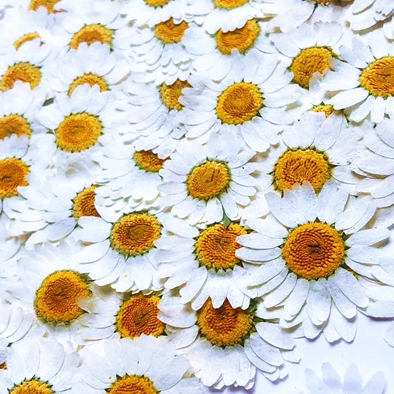 100Pcs Natural White Crystal C - Resin Craft Ideas 리뷰 및 가격