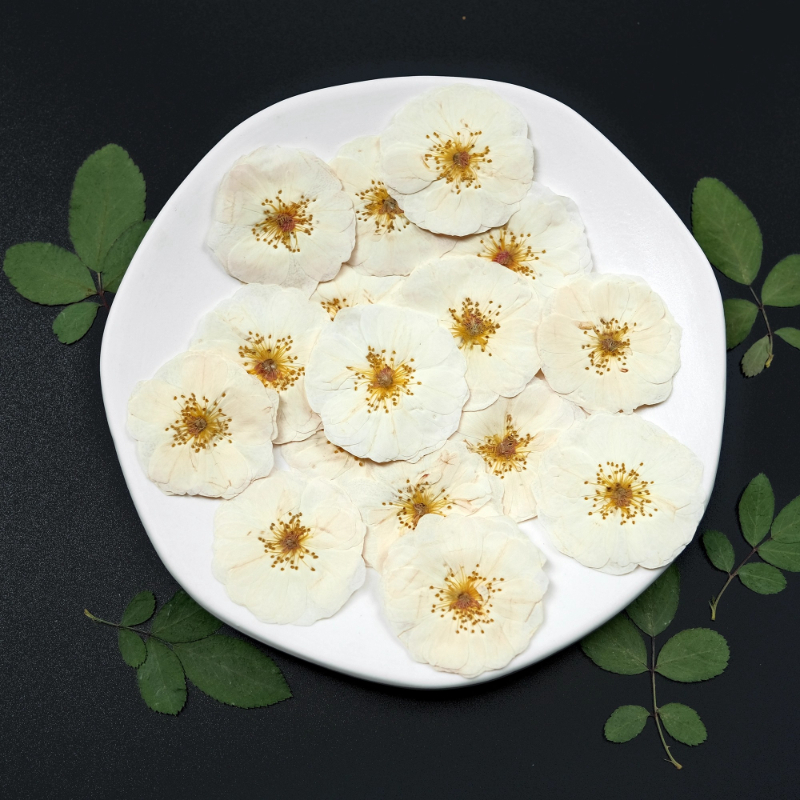 6pcs,9pcs,Nature White Rose Pr - Resin Craft Ideas 리뷰 및 가격
