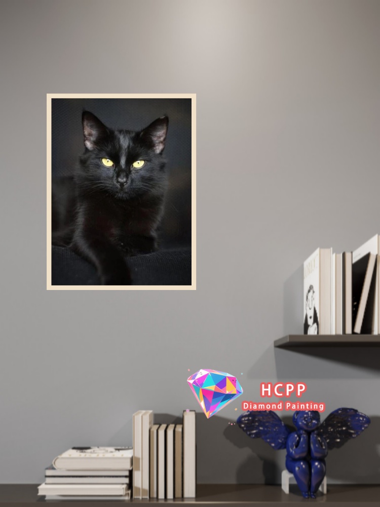 unframe Black Cat Animal Diamo - Resin Craft Kit 리뷰 및 가격