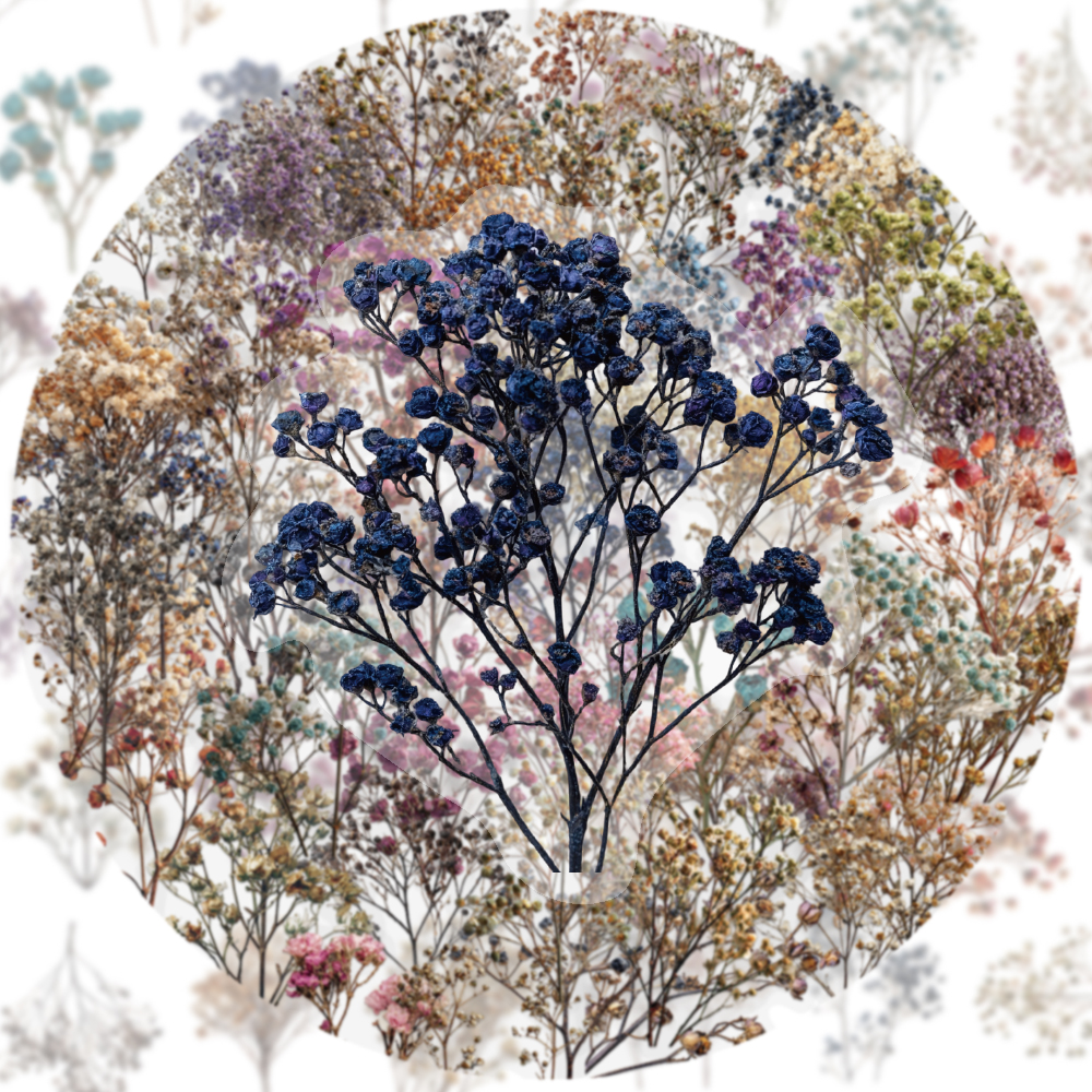 50PCS Retro Color Dried Flower - Dried Flower Bulk 리뷰 및 가격