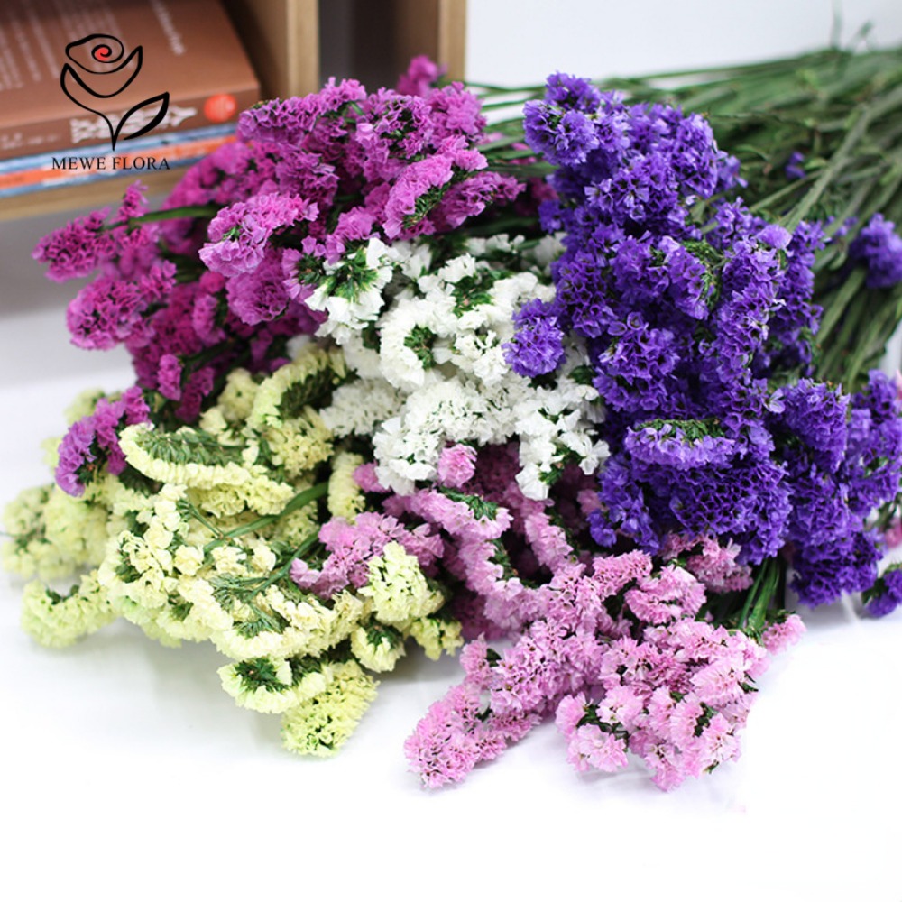 100g Dried Forget Me Not Flowe - Dried Flower Bulk 리뷰 및 가격