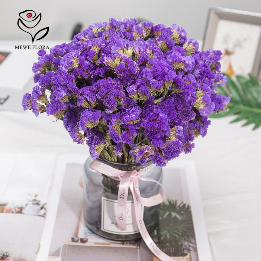 100g Dried Forget Me Not Flowe - Dried Flower Bulk 리뷰 및 가격
