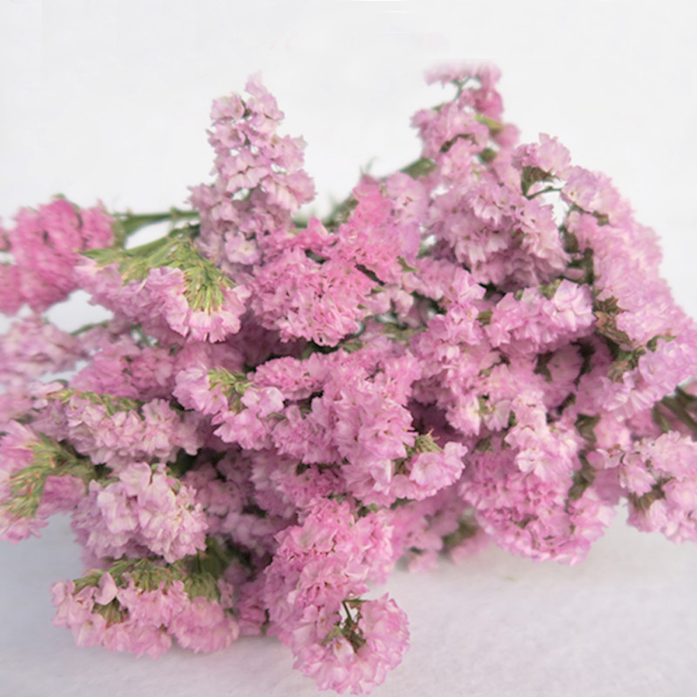 Pink color dried natural flowe - Dried Flower Bulk 리뷰 및 가격
