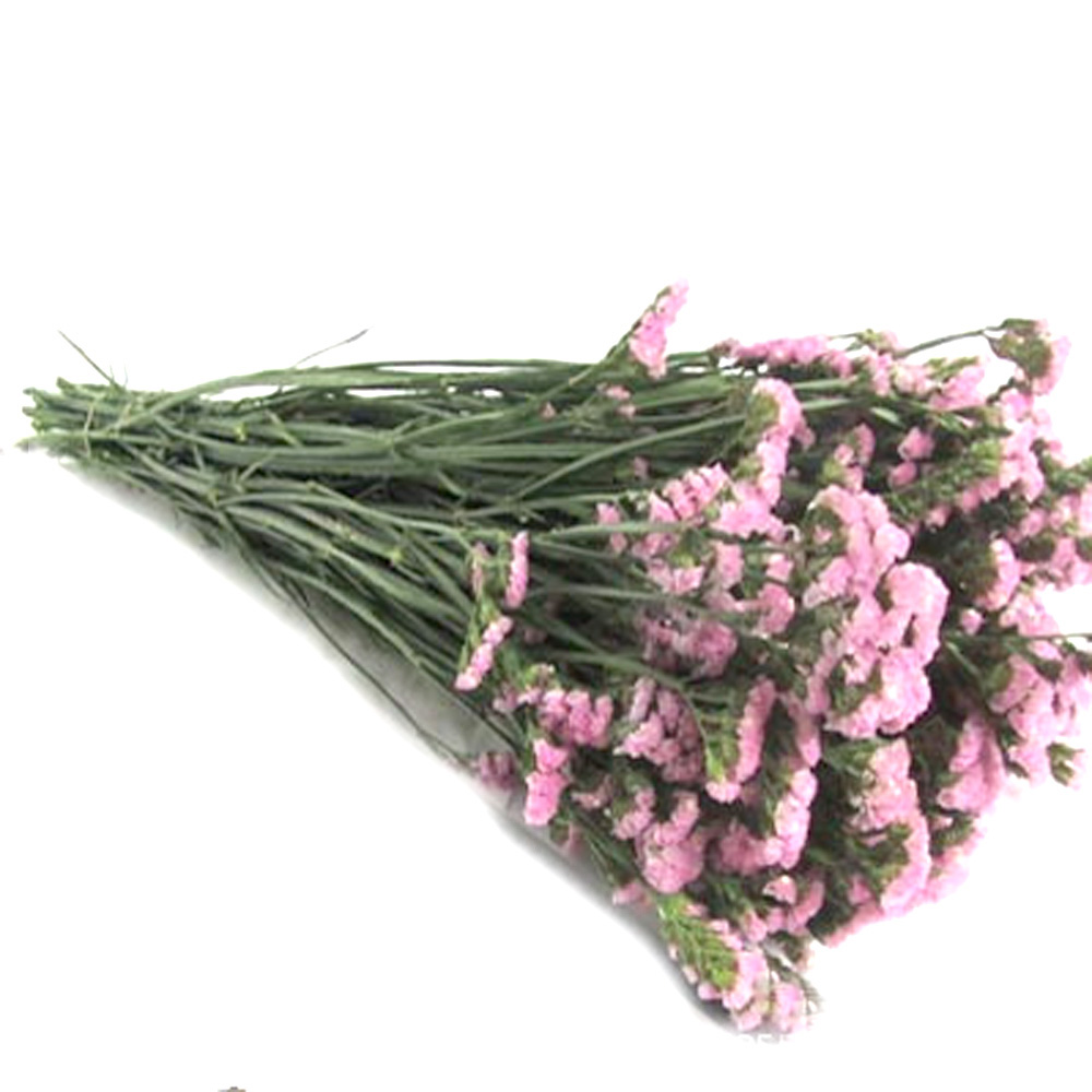 Pink color dried natural flowe - Dried Flower Bulk 리뷰 및 가격
