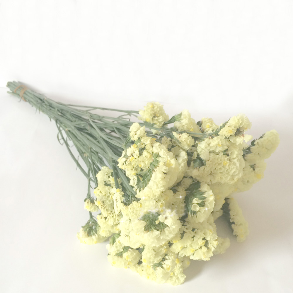 Pink color dried natural flowe - Dried Flower Bulk 리뷰 및 가격