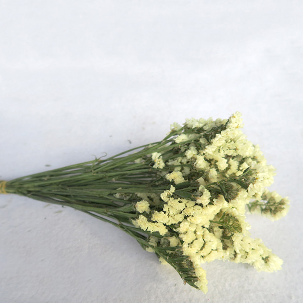 Pink color dried natural flowe - Dried Flower Bulk 리뷰 및 가격