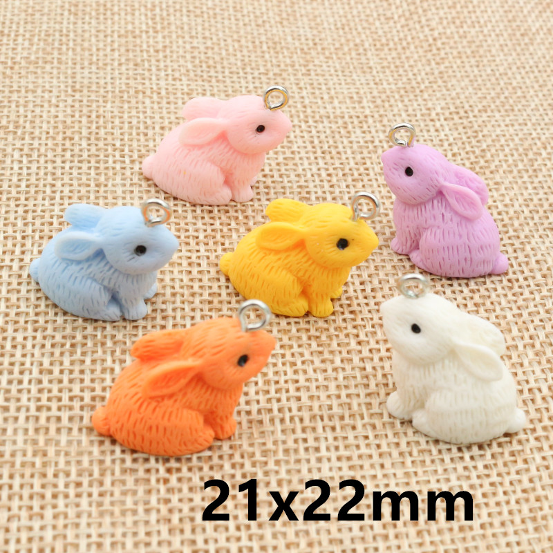 10PCS Resin Pendant Charms Rab - Resin Craft Projects 리뷰 및 가격