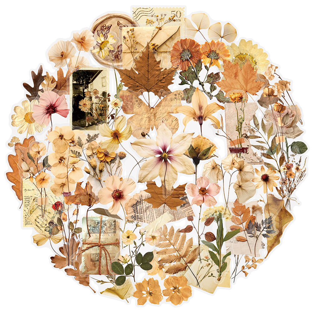 10/30/50pcs Transparent Dried  - Dried Flower Bulk 리뷰 및 가격