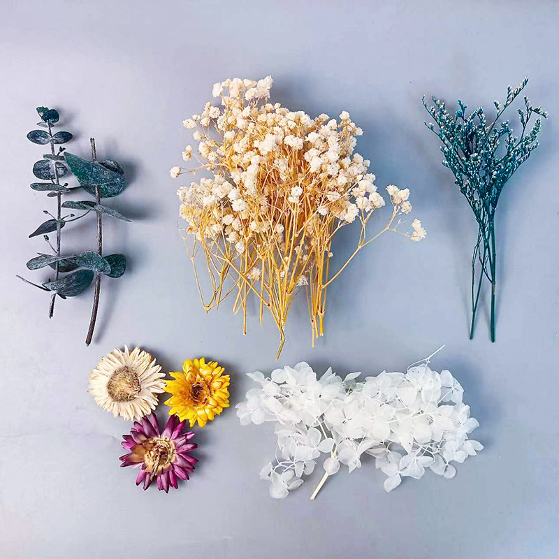 1pack Multifarious Dried Flowe - Dried Flower Bulk 리뷰 및 가격