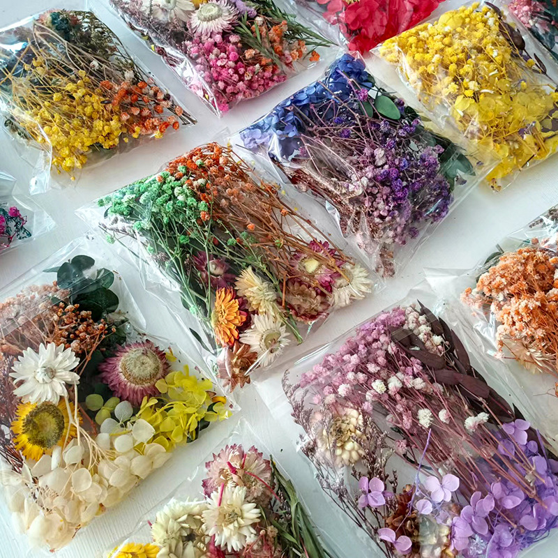 1pack Multifarious Dried Flowe - Dried Flower Bulk 리뷰 및 가격