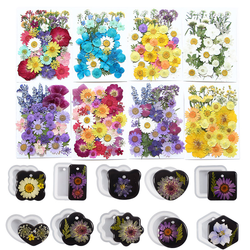 6pcsDried Flowers Real Natural - Flower Preservation Resin 리뷰 및 가격