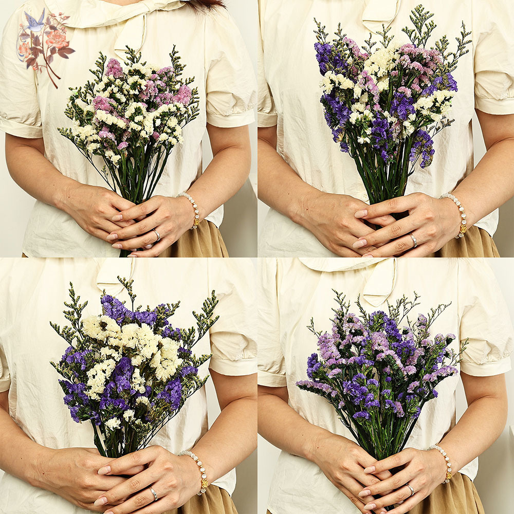 100g Natural Real Forget-me-no - Dried Flower Bulk 리뷰 및 가격