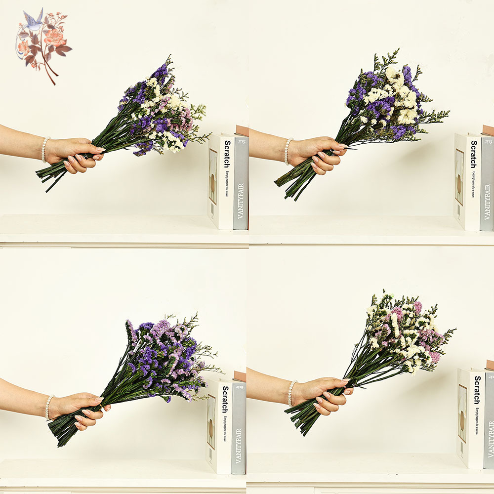 100g Natural Real Forget-me-no - Dried Flower Bulk 리뷰 및 가격